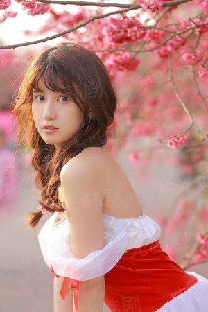 尘缘离落，一朝花开