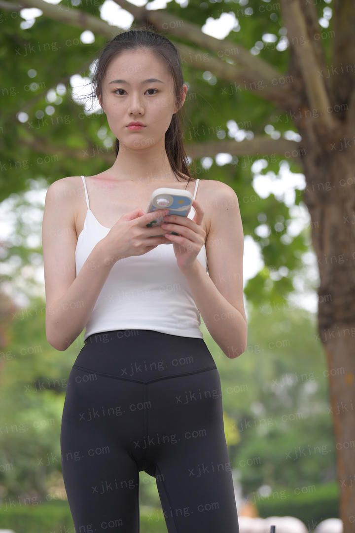 狄仁杰之西域妖姬