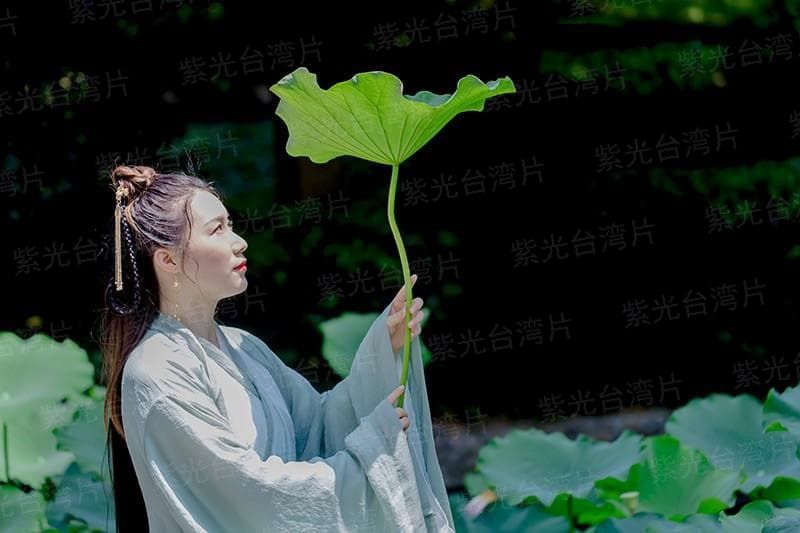 我们的虚实人生