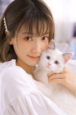 龙虎戏凤