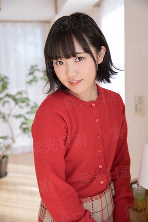 长教月照相思柳
