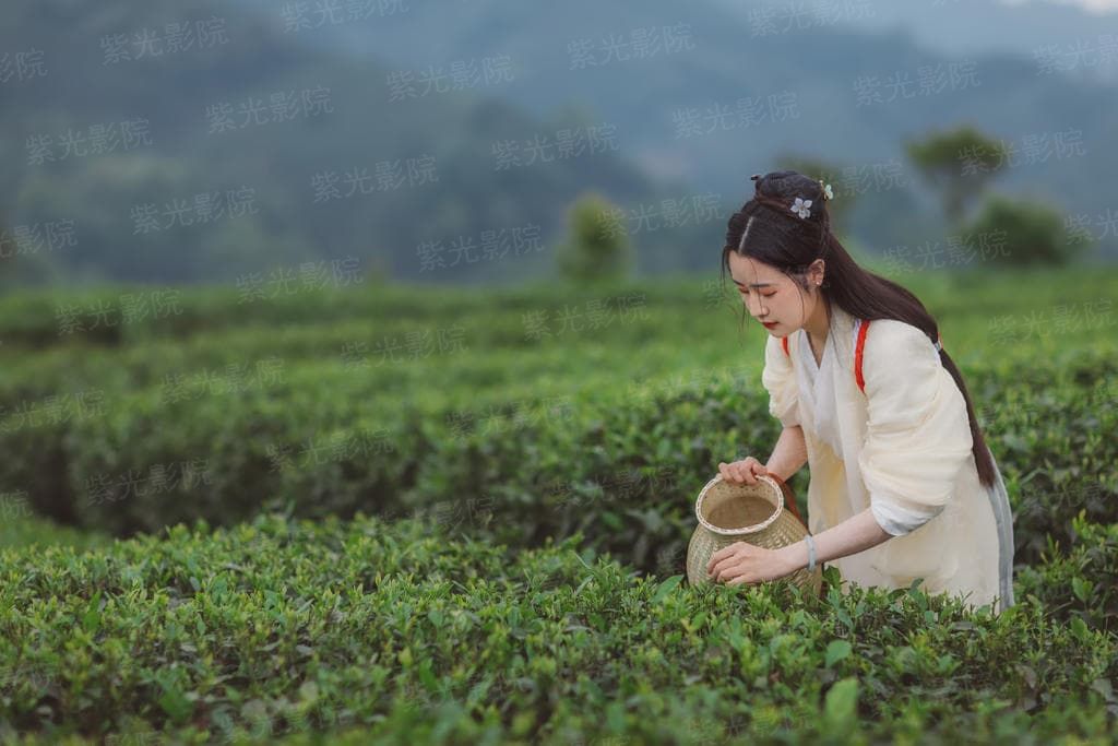 秘境有食材